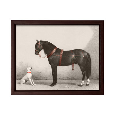 Cheval et chien