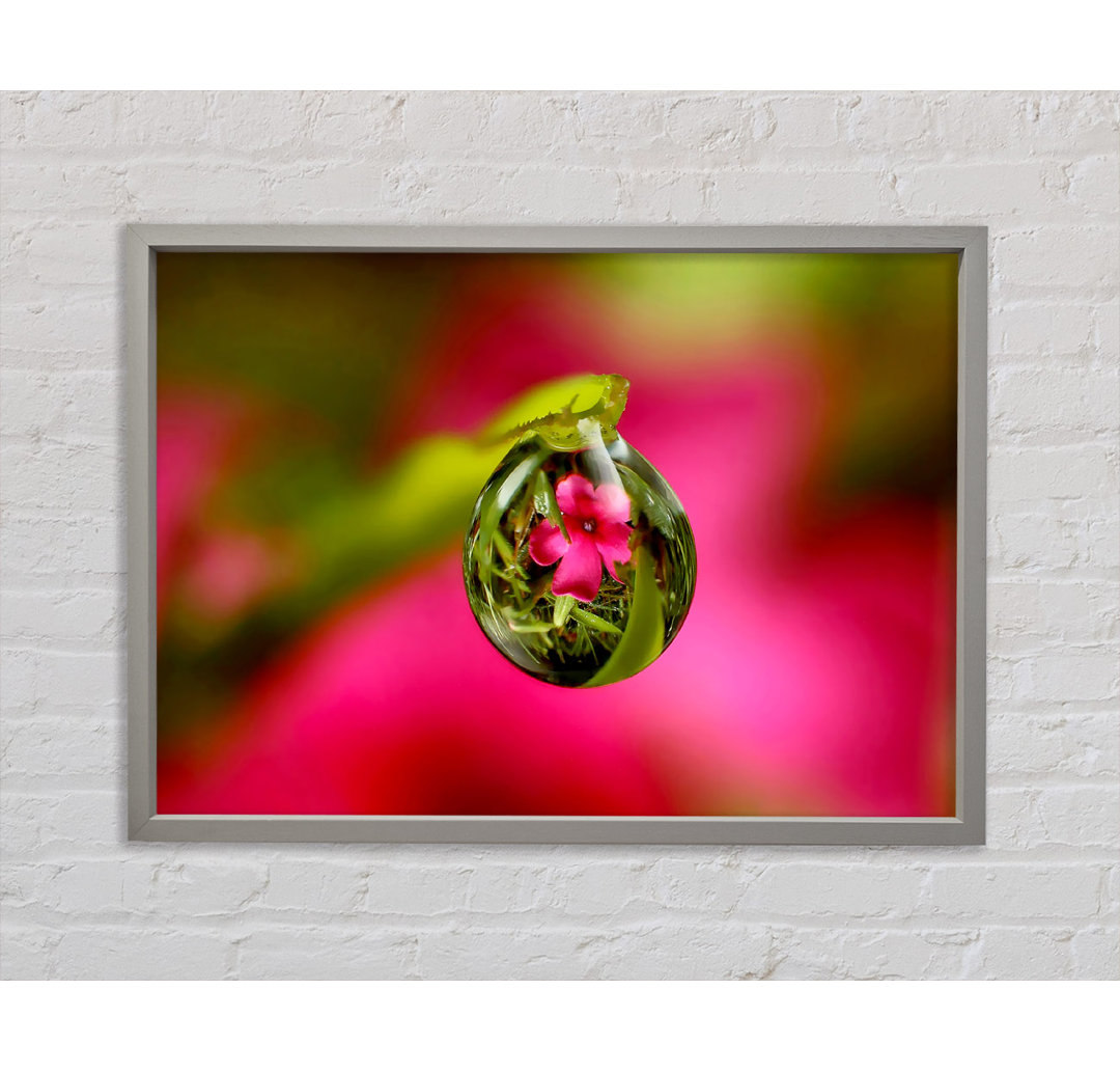 Reflection Of A Pink Flower - Einzelner Bilderrahmen Kunstdrucke auf Leinwand