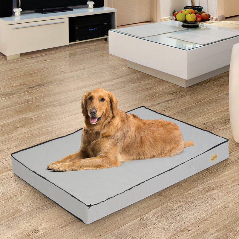Orthopedic Polyester Pet Bed, 10cm H x 120cm W x 90cm D