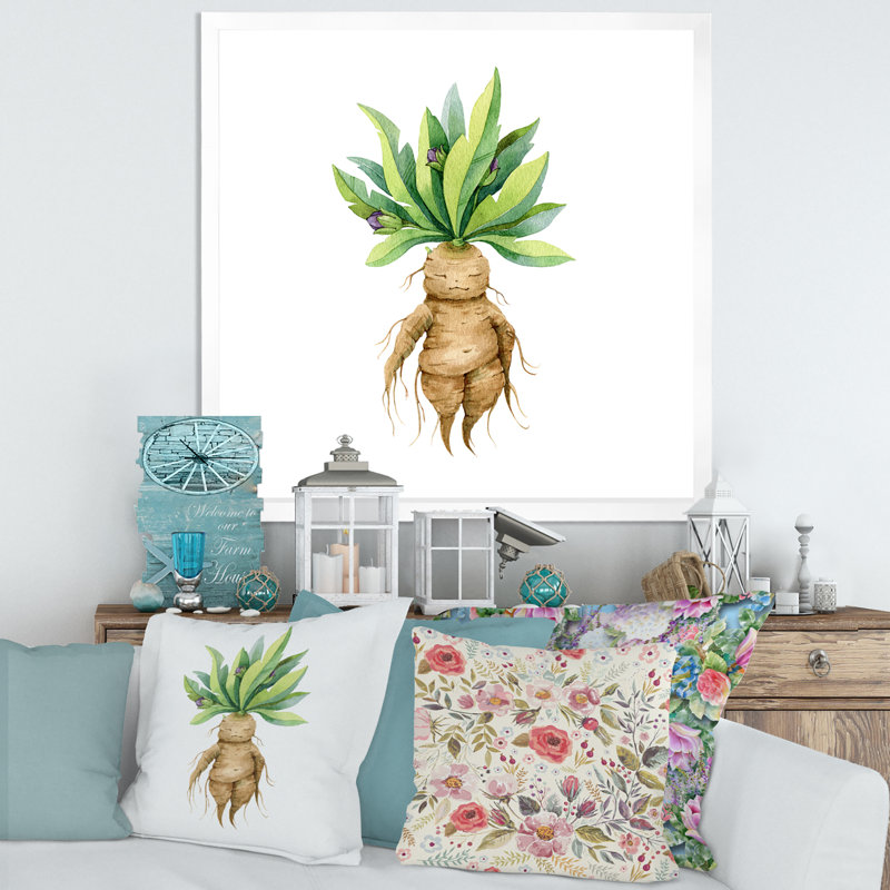 Mandragora plante - reproduction d'art sur toile traditionnelle, H 36 po x l 36 po x P 1 po, Cadre photo blanc
