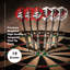 Fat Can Twin Pack Steel Tip Dart