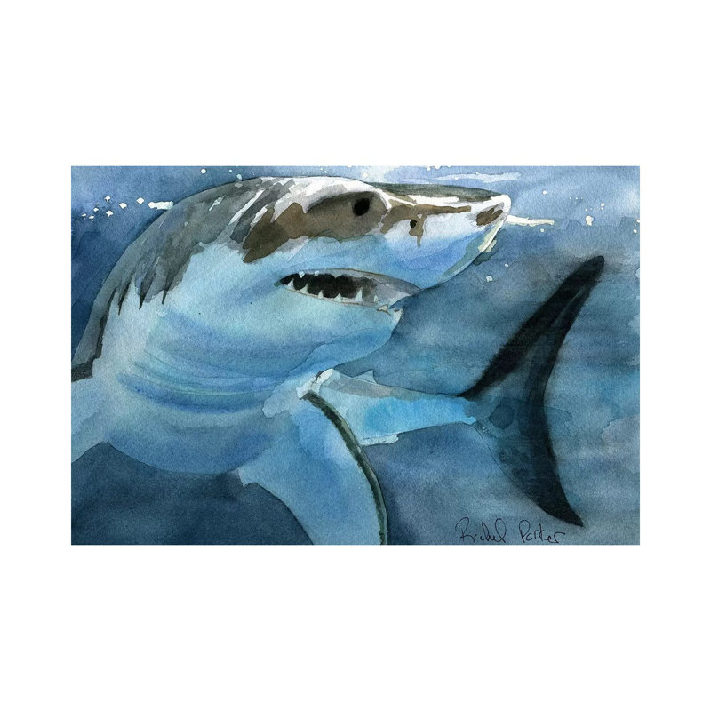 Sharky by Rachel Parker - Painting on Canvas, Wrapped Canvas, 66.04 cm H x 45.72 cm W