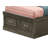 Citronelle Bookcase Storage Bed-79497807-90737797