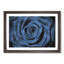 Pretty Blue Rose - Framed Print-56758326-56758329