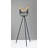 55 " Floor Lamp