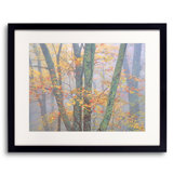 Autumn Portrait Blue Ridge Parkway #1 Print by Bruce Heinemann