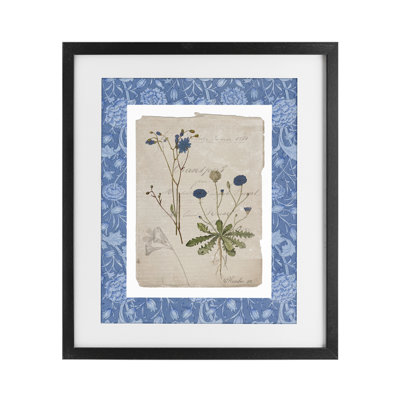 «Blue Antique Herbs», reproduction sous verre encadrée, par Livi Finn