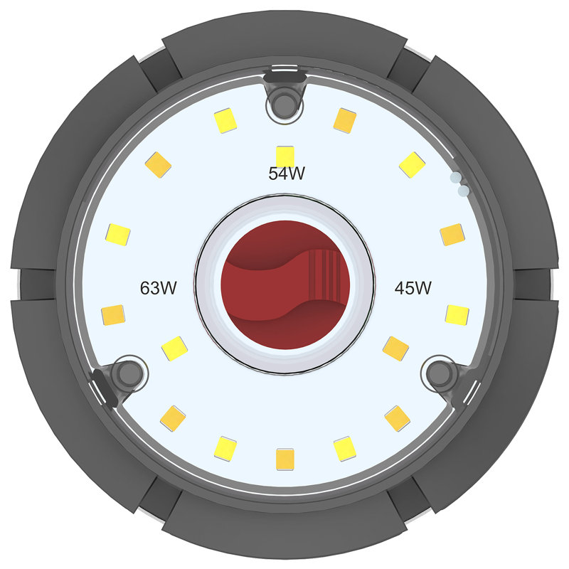 54 Watt LED Bulb, 63 W