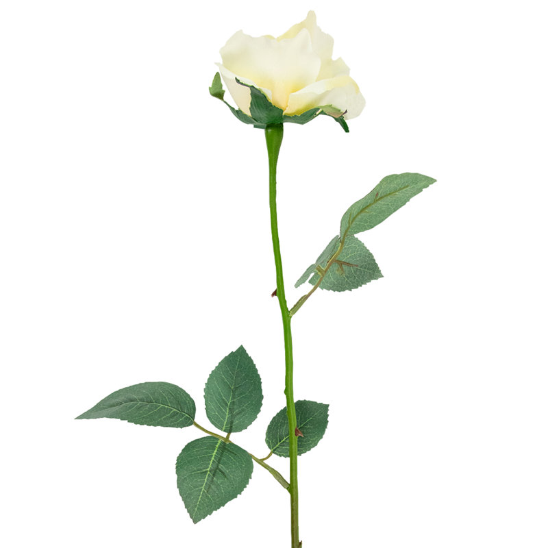 Rose Arrangement