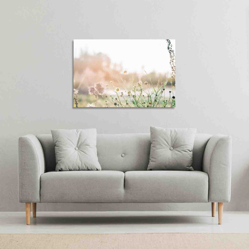 Wild Daisies by Andrew Lee - Wrapped Canvas Print, 41cm H x 61cm W x 4cm D