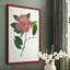 Reproduction encadrée pressée Camellia II - bois massif-309909437-309909434