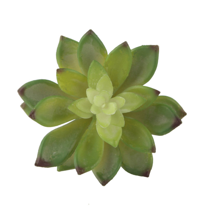 5.5 " H Faux Succulent Plant