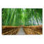 Path to Bamboo Forest - Reproduction de photo sur toile tendue-18436524-33284351