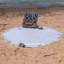100% Cotton Bath Towel-50929036