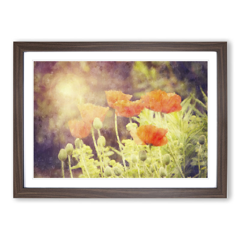 Field of Poppies Vol.6 - Framed Print, Walnut Framed, 48cm H x 65cm W x 2cm D
