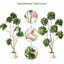 Arbre artificiel artificiel Schefflera en pot blanc avec motif de troncs multiples