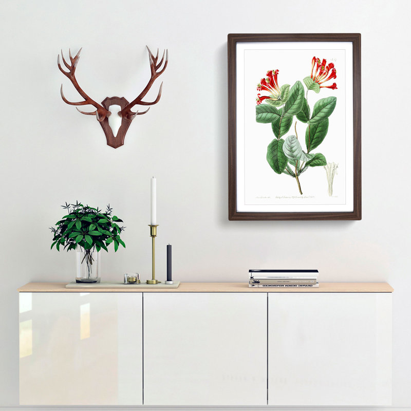 Honeysuckle Flower - Picture Frame Painting Print, 36cm H x 27cm W x 2cm D, Walnut Framed