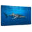 Brampt Whale Shark In The Blue-108135098