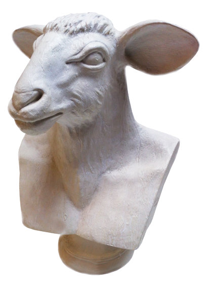 Bust