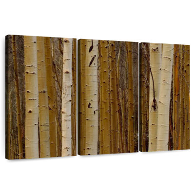 Alvord Aspen en hiver