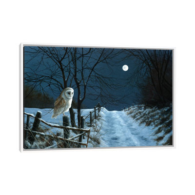 Reproduction d’art graphique, "Moon’s Moon-Barn Owl" par Jeremy Paul