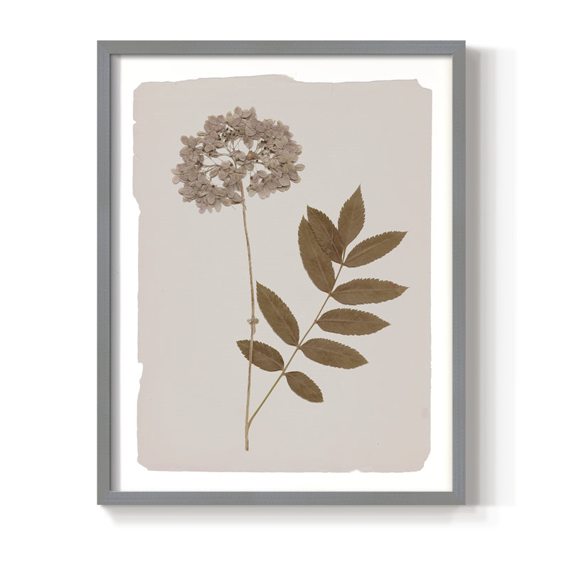 Monochrome Botanical IV Framed Print - Solid Wood, Gray, 21" H x 17" W