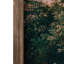 Painting Millwood Pines