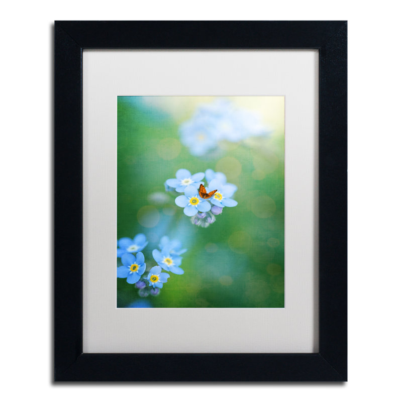 " Forget-Me-Not " by Philippe Sainte-Laudy, 14" H x 11" W x 0.5" D