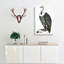 White-backed Vulture by John Edward Gray - Wrapped Canvas-55302095