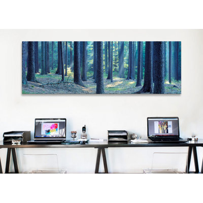 Panoramic Photograph on Canvas