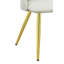 Chaise d'appoint en cuir (ensemble de 2)