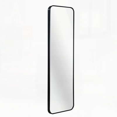 47 x 14IN Door mirror