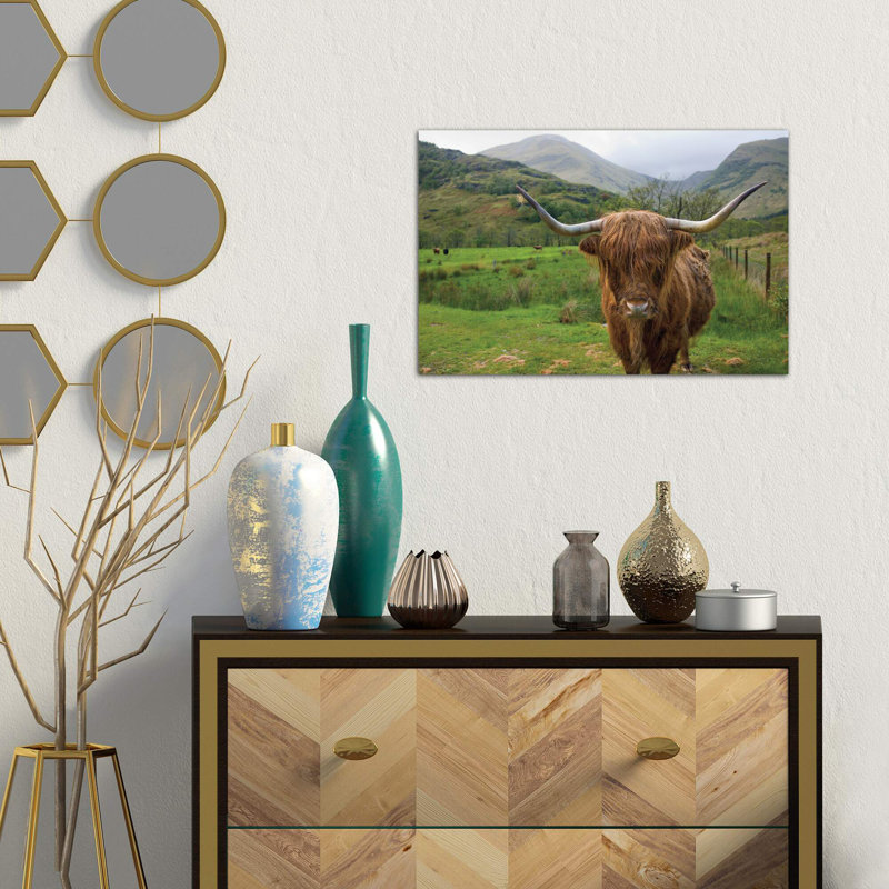 Scottish Highland Cattle III by Alan Majchrowicz - Wrapped Canvas Print, 66.04 cm H x 45.72 cm W x 1.91 cm D