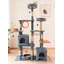 Structure d'escalade pour chat 63,78 pouces