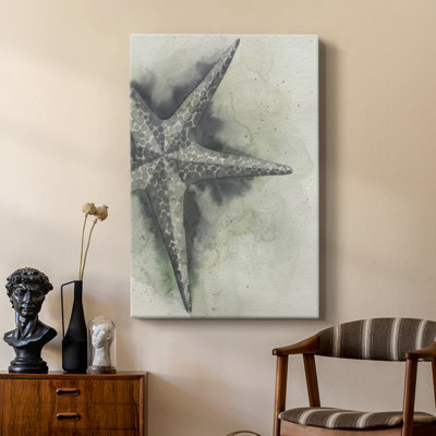 Found Starfish I - galerie sur mesure