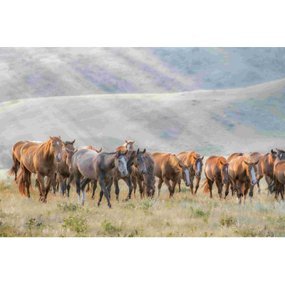 Chevaux en soleil III
