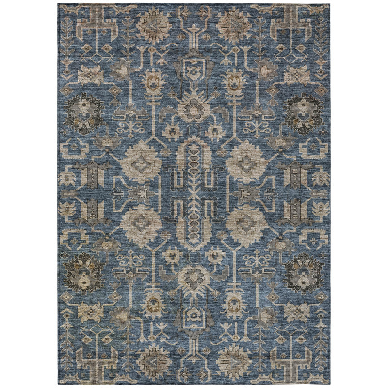 Myda Washable Oriental Indoor / Outdoor Rug, Rectangle 10' x 14'