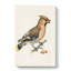 Bohemian Waxwing by Von Wright - Wrapped Canvas-55362197
