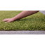Krisalyn Solid Colour Shag Area Rug-79326128