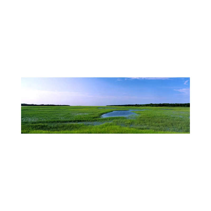 USA, Florida, Jacksonville, Atlantic Coast, Salt Marshes - Wrapped Canvas Panoramic Print