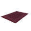 Litzy Oriental Area Rug-1236313669