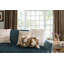 Housse et insert de coussin carré Kaela-36621078
