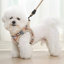 Harnais pour chien No-Pull avec laisse Gilet ajustable en maille respirante avec bandes réfléchissantes-1610832328-1664263297