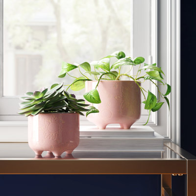 Chrishiya Ceramic Planter