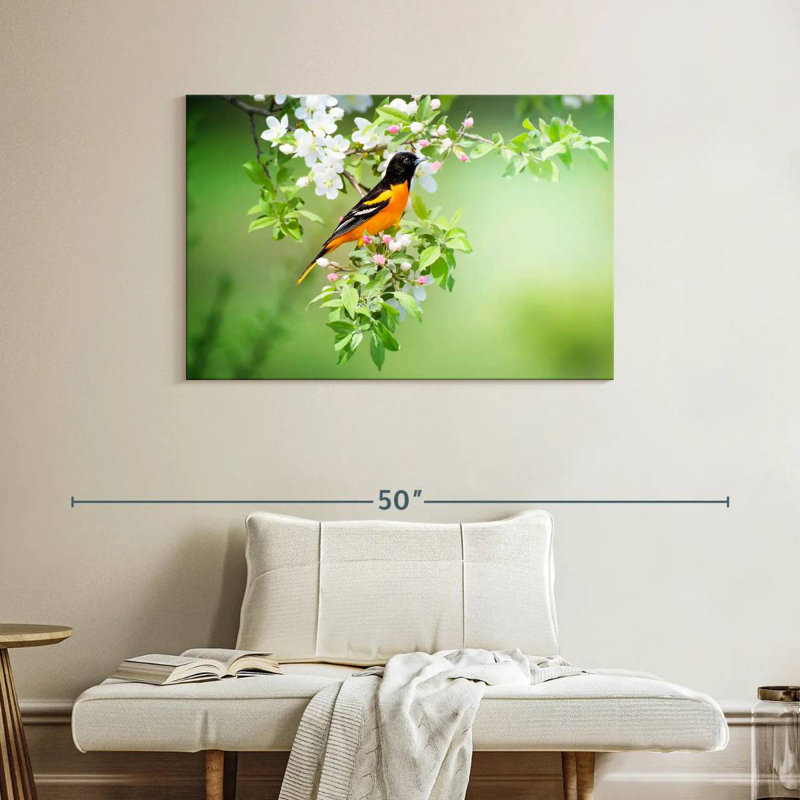 Brampt Oriole, 26" H x 39" W