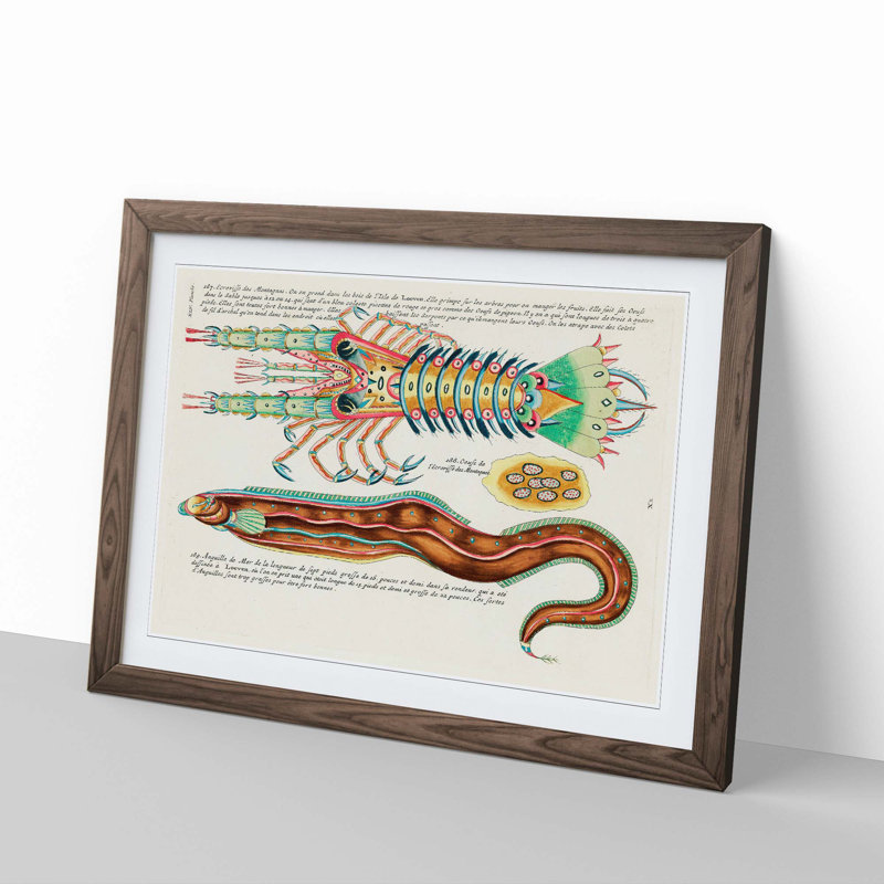 East Indies Fish & Lobster Illustrations XLV by Louis Renard - Picture Frame Painting Print, 36cm H x 48cm W x 2cm D