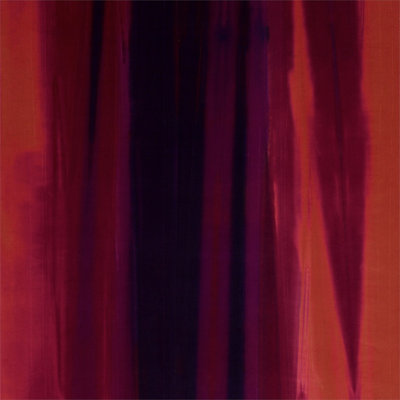 Amazilia Velvets Fabric