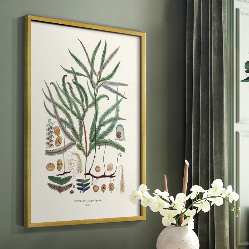 Botanical Society Ferns VII, reproduction encadrée - bois massif, H 28 po x l 22 po