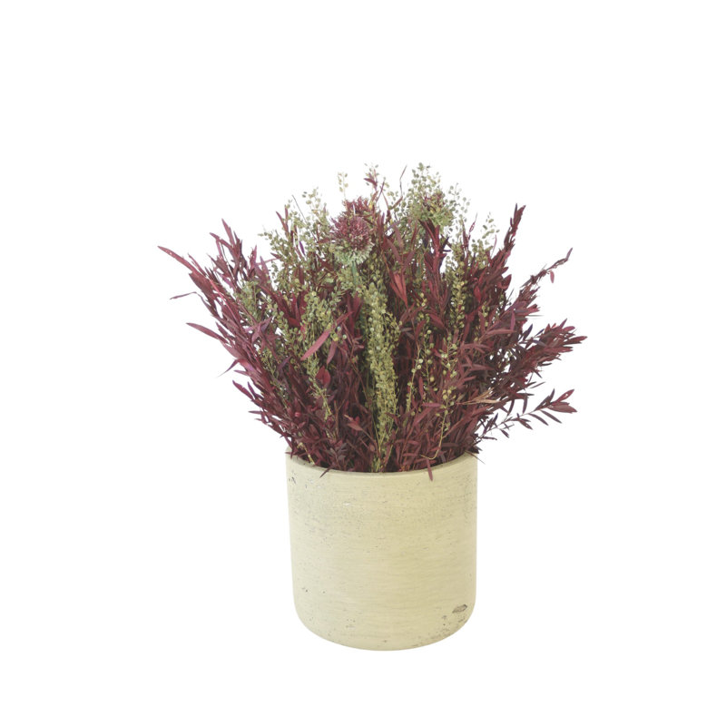 Dried Lepto in Green Container