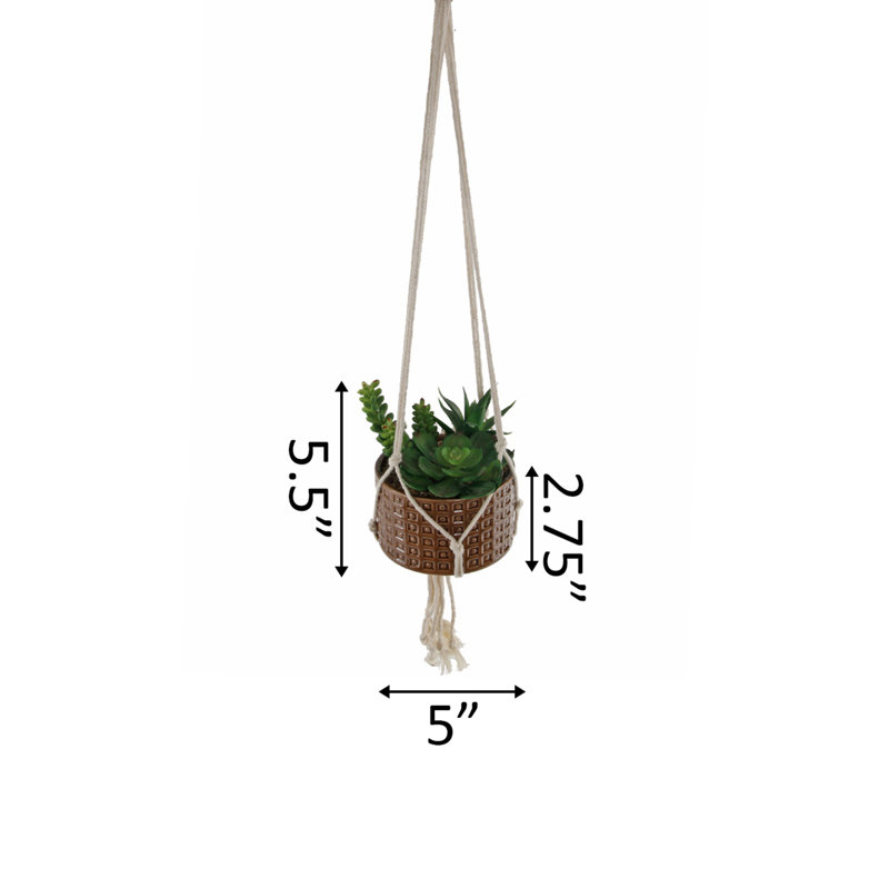 4'' Faux Succulent Plant in Ceramic Planter